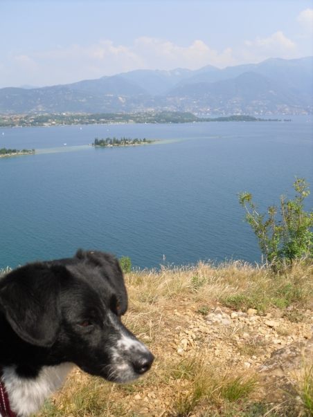 Nemo aus La Palma im Urlaub am Gardasee